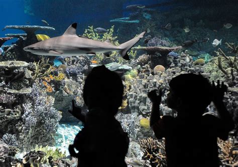 baltimore aquarium membership discount
